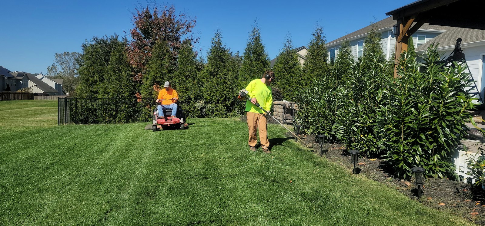 Best Cordless Leaf Blowers 2026: CFM vs MPH Explained
