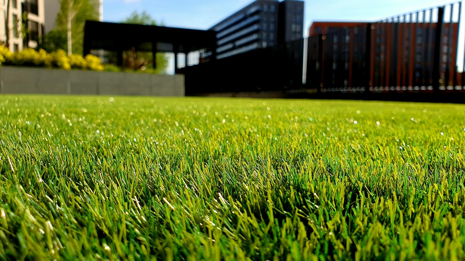 Yard Care & Outdoor Power Equipment editorial